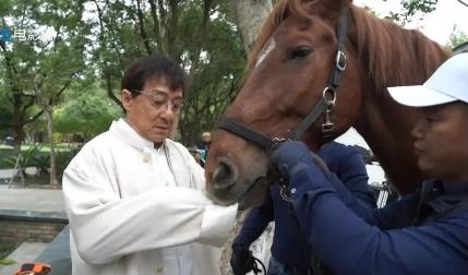 成龙电影龙马精神讲的什么,电影龙马精神在哪拍的