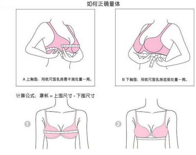 罩杯abcd怎么分大小水果形容 女性胸部a-g罩杯图片