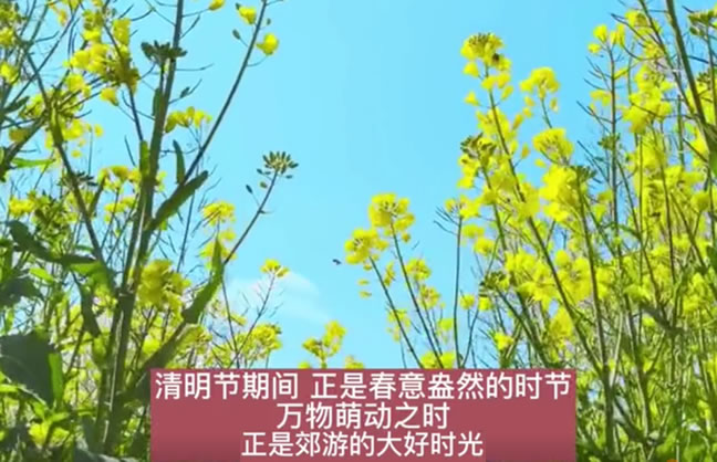 清明节这样请4天假可连休9天 准备去哪玩呢？