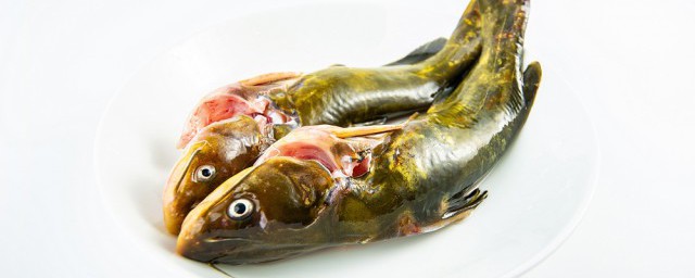 红烧钢针鱼的做法怎么做好吃(红烧钢针鱼的做法)