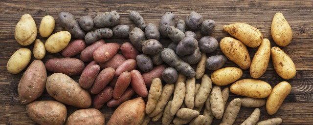 发芽的土豆怎么种盆栽视频(发芽的土豆怎么种盆栽日记七天的日记)