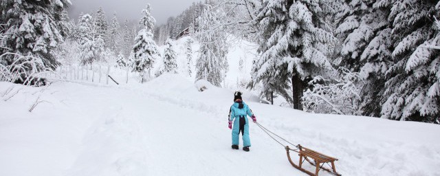 西岭雪山一年四季都可以滑雪吗(西岭雪山滑雪一天时间够吗)