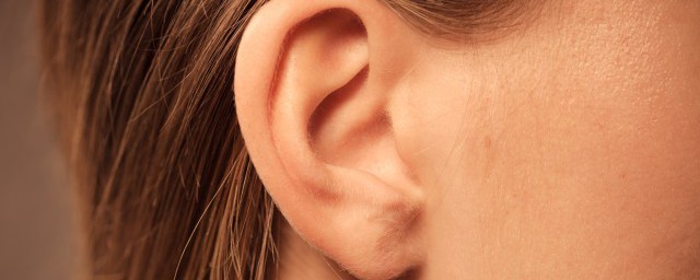 耳朵除了听觉功能(还可以感知到(耳朵除了听觉功能还可以感知到平衡还是快乐)