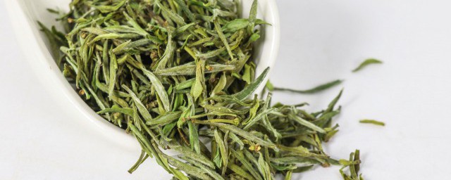茶叶怎么种植成活率高(茶叶种植可行性报告)