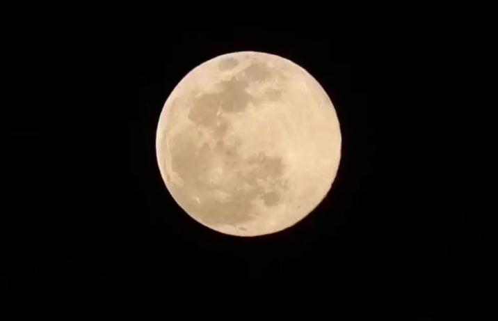 看过昨晚的月亮什么意思 看月亮梗来源是什么