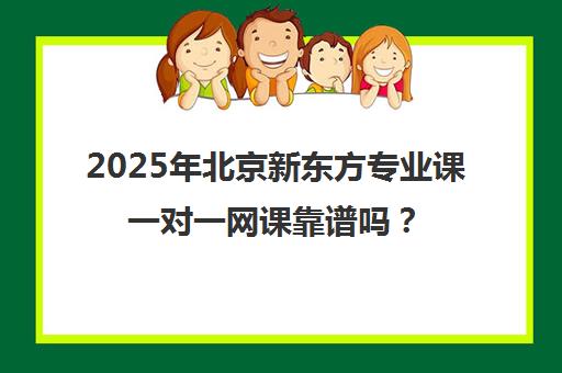 2025年北京新东方专业课一对一网课靠谱吗？考研报班分析